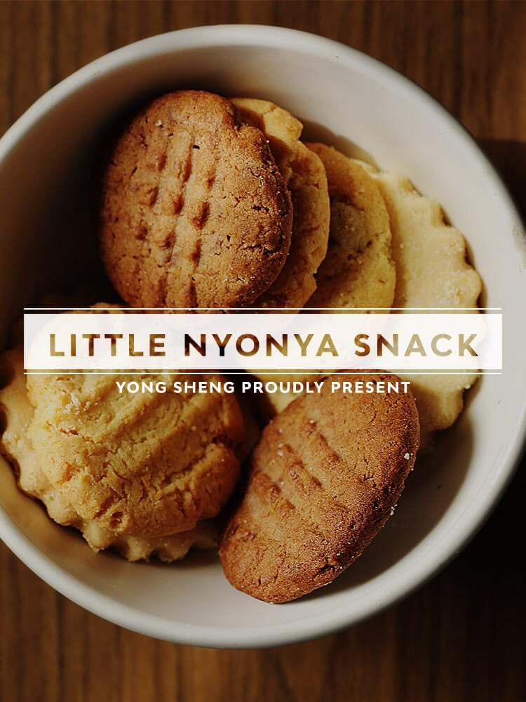 Little Nynoya Snack Series
